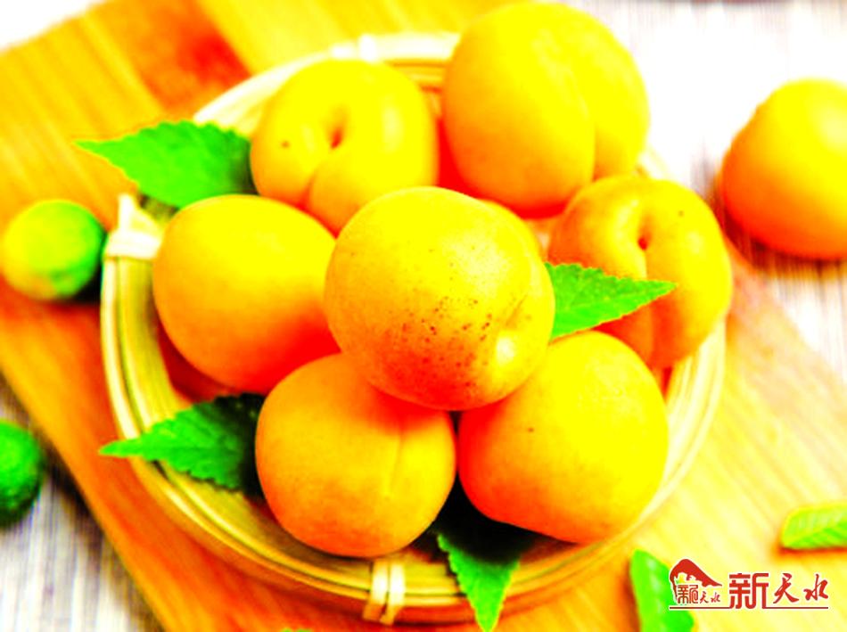 延伸产业链拓宽致富路,麦积区新阳镇未来新阳规划图