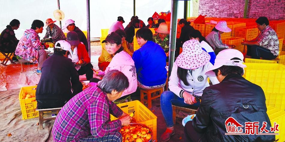 延伸产业链拓宽致富路,麦积区新阳镇未来新阳规划图