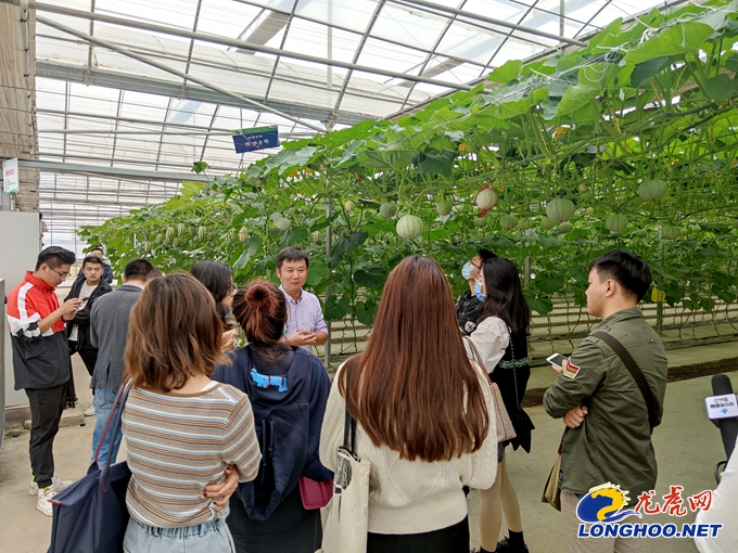 丰收节遇上种博会江宁谷里双品牌联动庆丰收迎小康