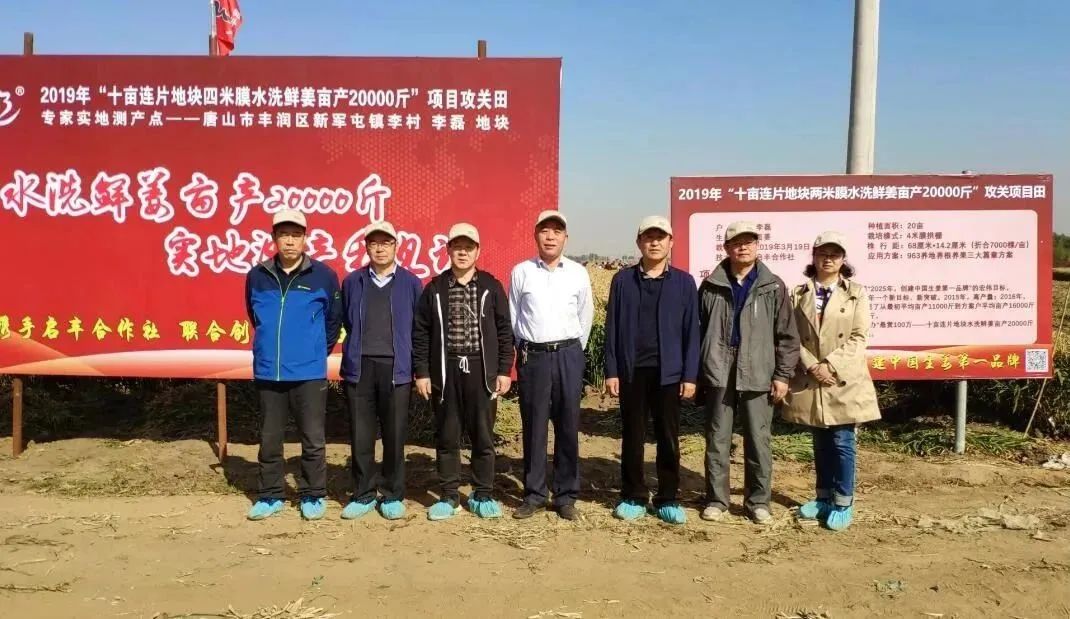 2021年要种好姜？邀请你花1天时间，给自己一个确切的答案