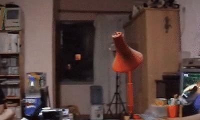 乐夏结束了么,乐夏之后解散的乐队