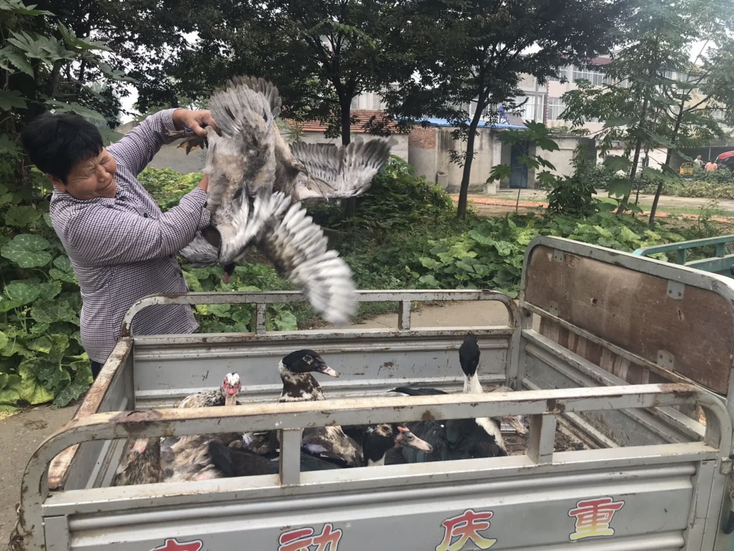 五河电商运营,五河县电商平台