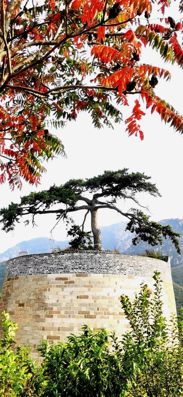 秋天的秦皇岛有多美？摄影家用镜头告诉你