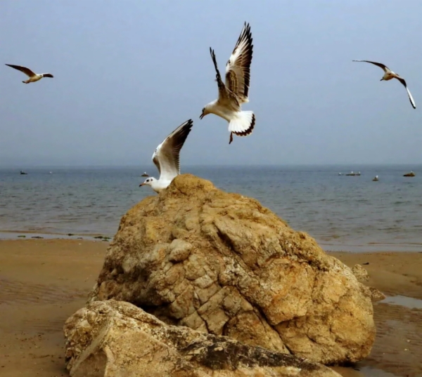 秋天的秦皇岛有多美？摄影家用镜头告诉你