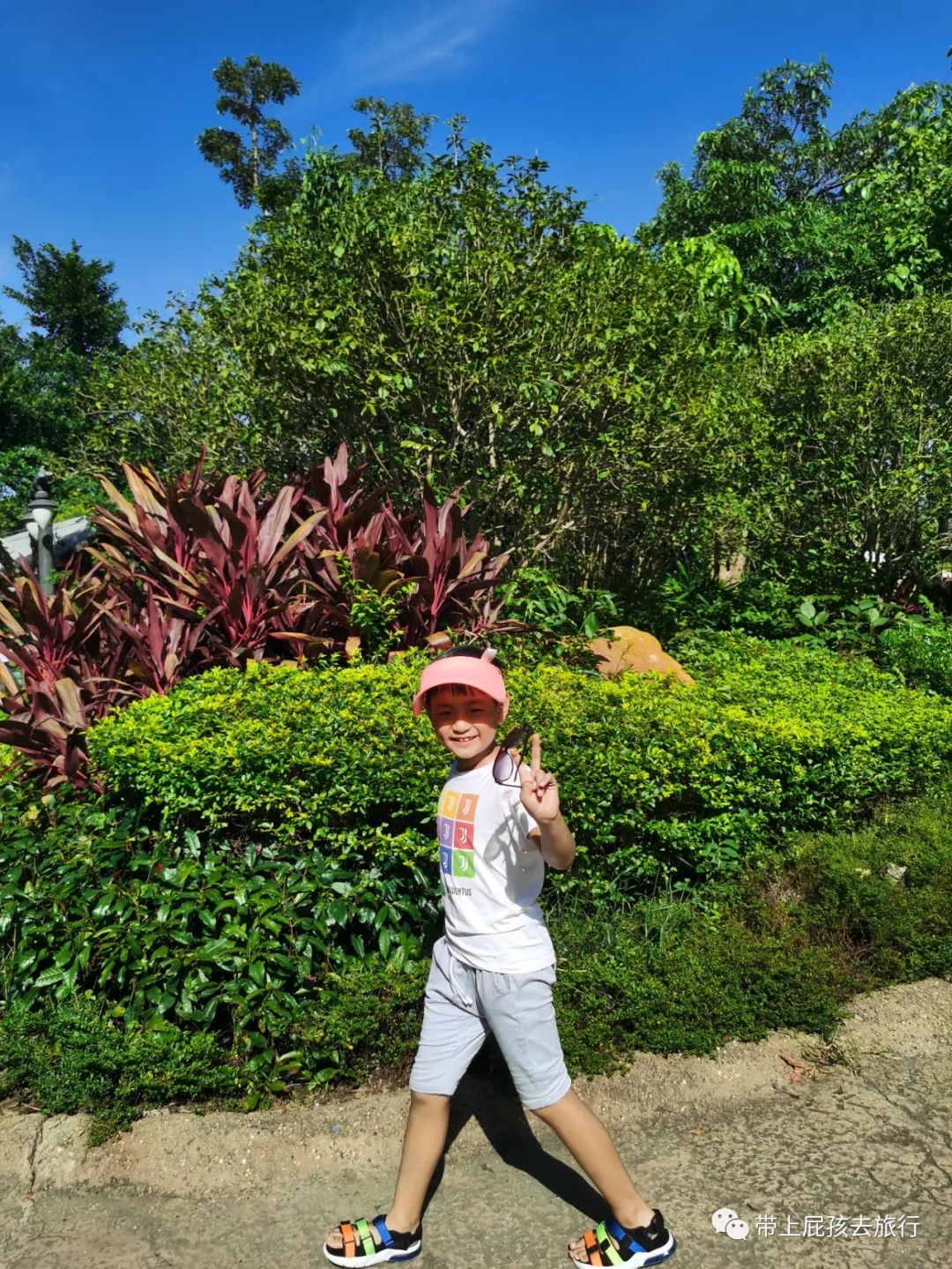 长隆选哪个酒店,广州长隆怎么选酒店