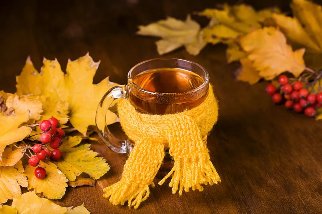 毛衣怎么洗才能减少起球,怎么能让毛衣不掉毛