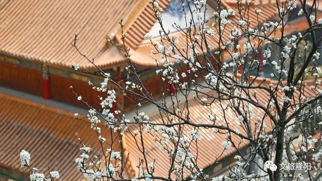 微游巫山,微游游