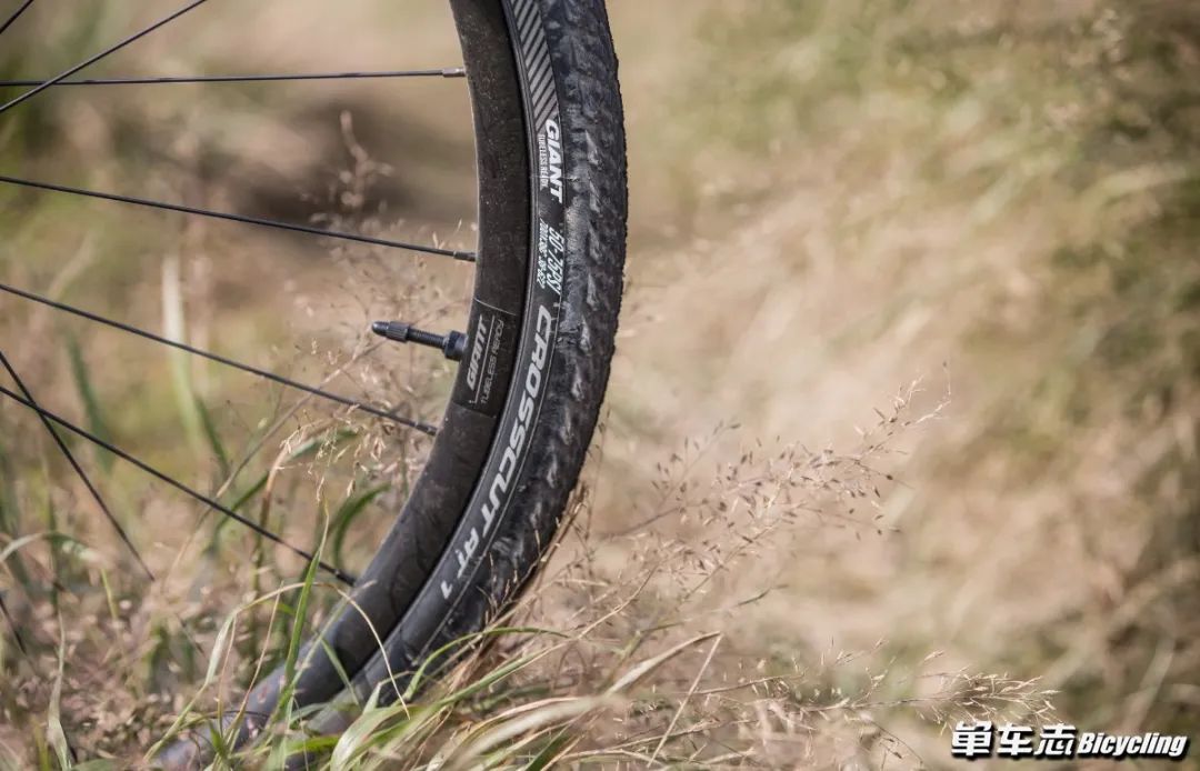 找寻Gravel新乐趣，GIANT发布全新Revolt，你会买吗？