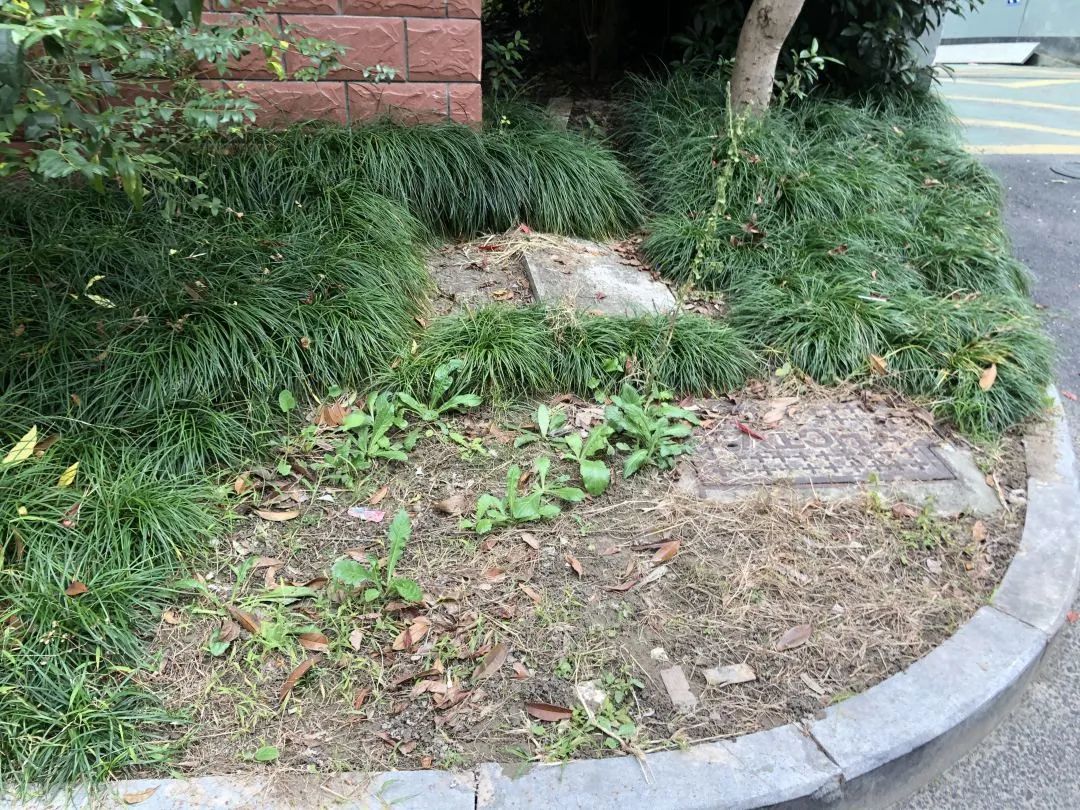 曝光台不文明行为煞了风景,曝光台不文明行为实拍曝光