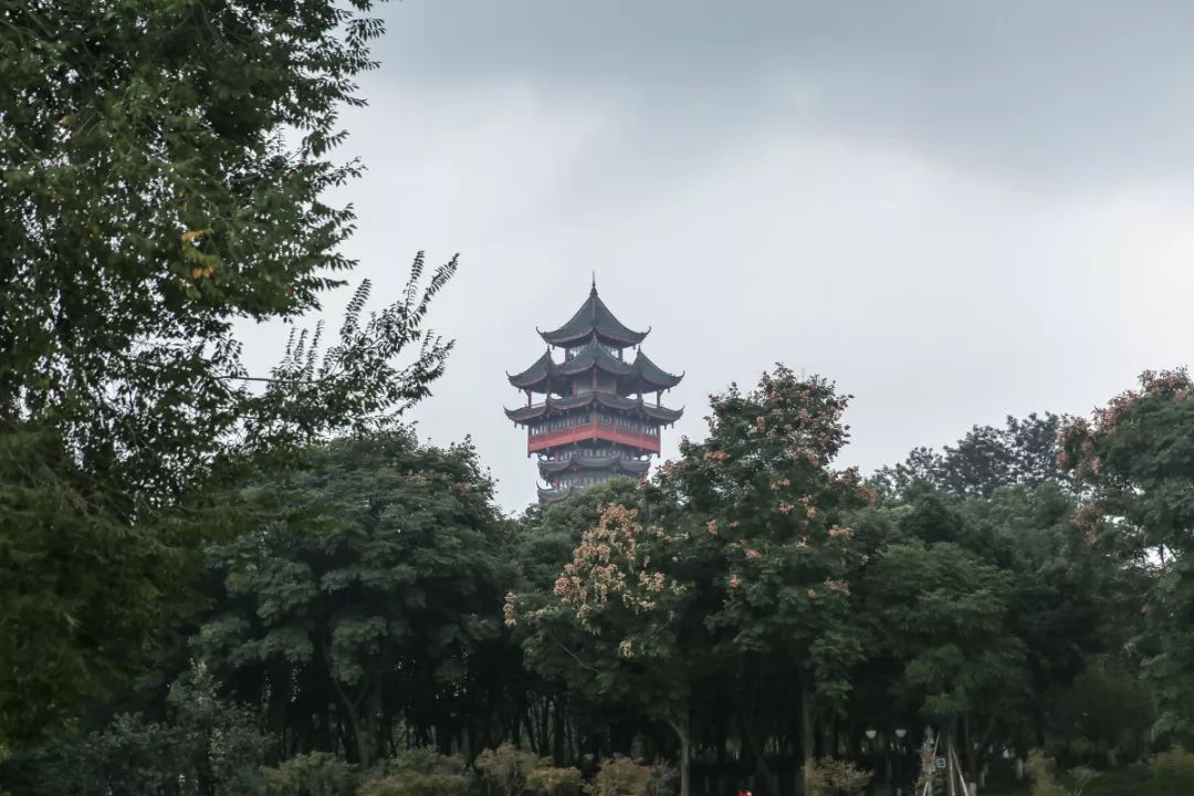 成都1100个公园俯瞰,成都100个公园规划图