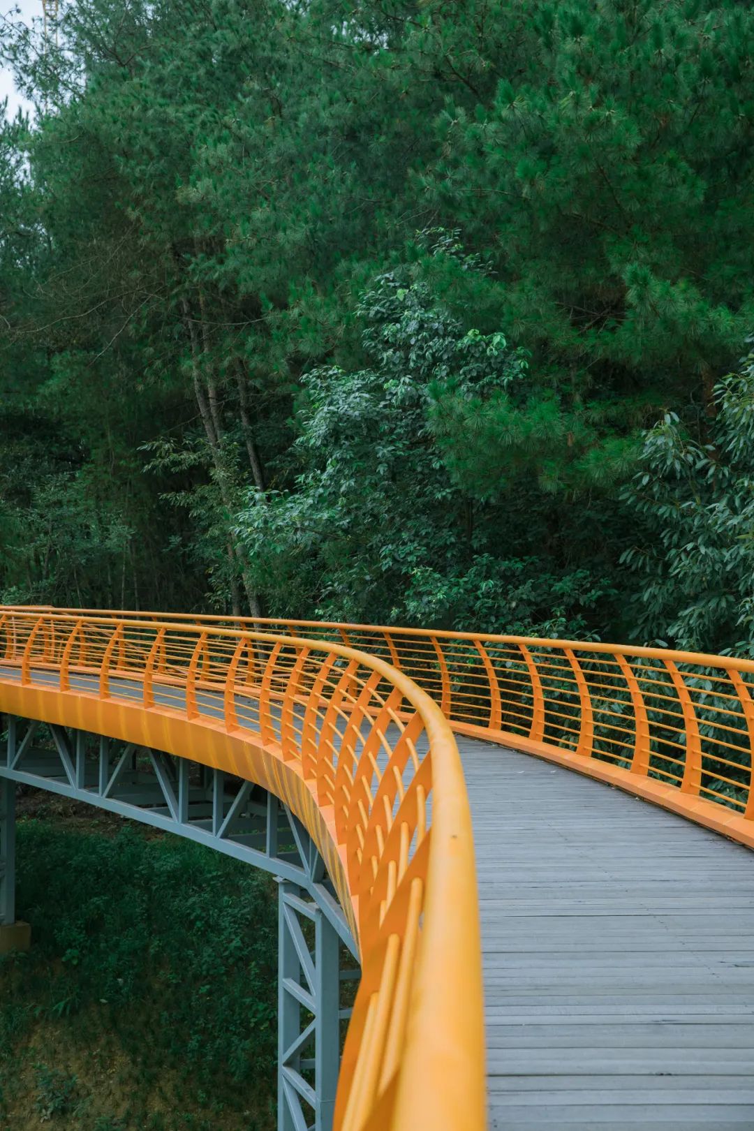 成都1100个公园俯瞰,成都100个公园规划图