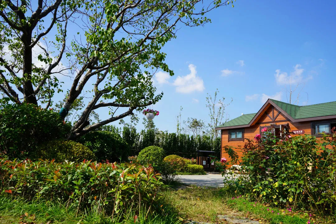 描绘乡村美丽新画卷,描绘中国美丽新画卷