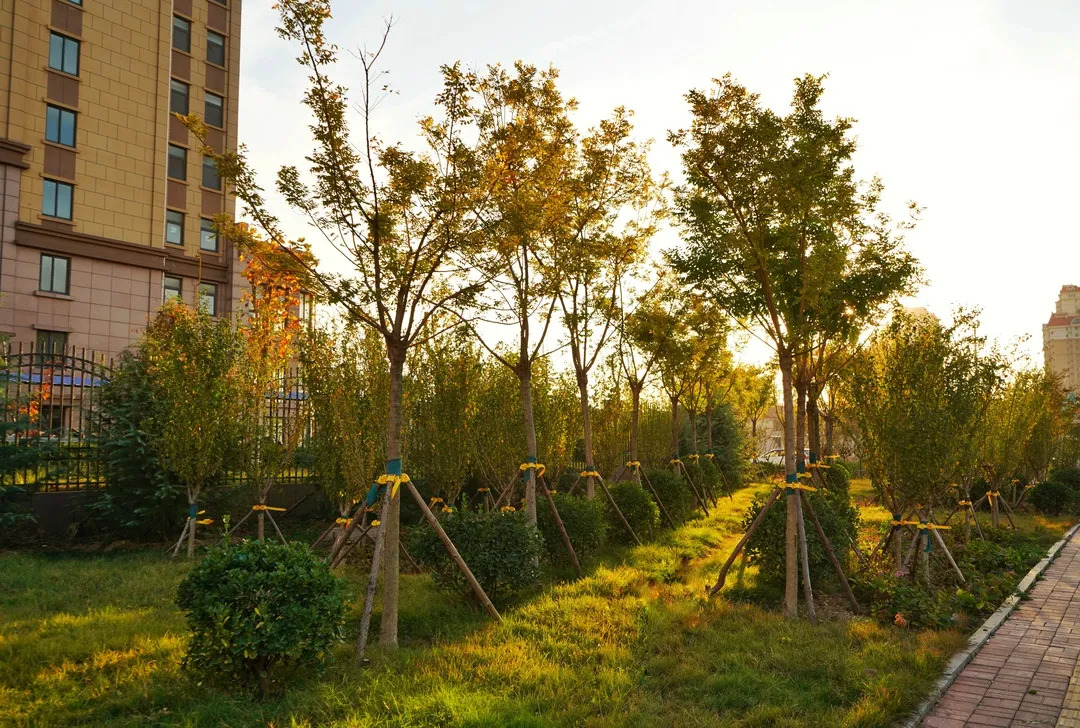 描绘乡村美丽新画卷,描绘中国美丽新画卷