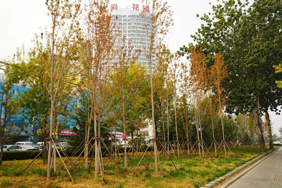 描绘乡村美丽新画卷,描绘中国美丽新画卷