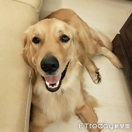 挖耳朵太舒服! 阿金爽到「嘴边肉失守」...努力忍住不笑出来