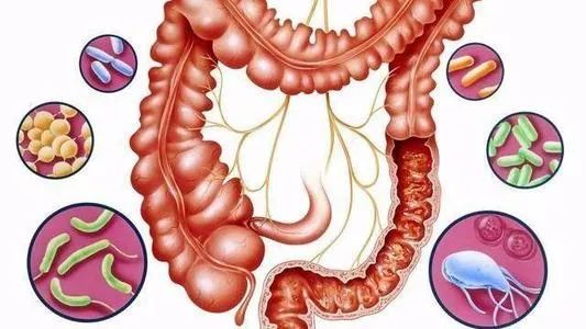 最新调查:剖腹产出生的孩子肥胖和过敏的风险更高!你还要选择剖腹产吗?