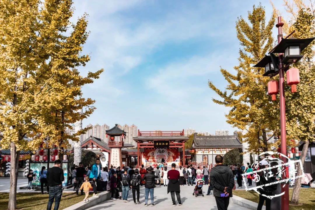 曲江秋天风景,曲江的秋色