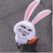 网络女主播被阴婚,被阴婚的女主播