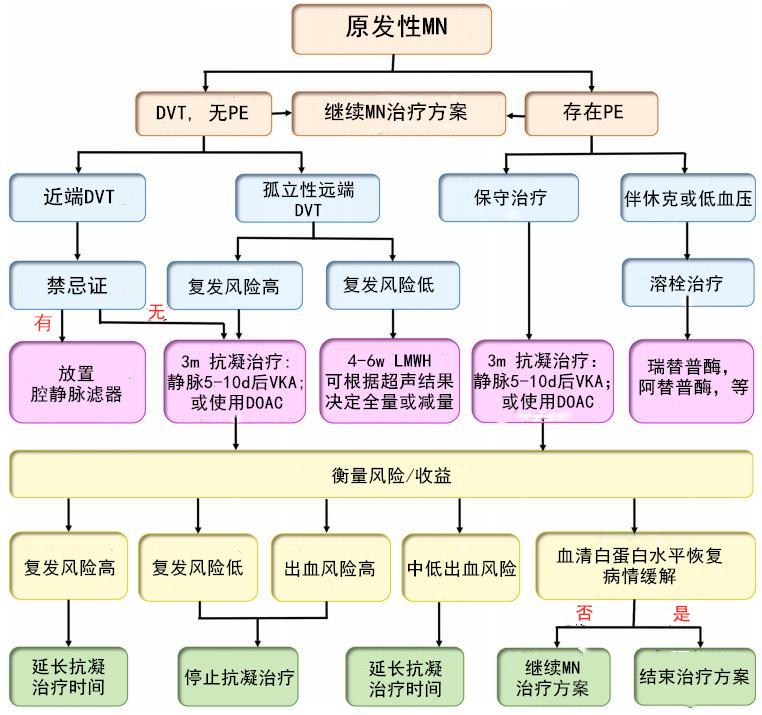 4张流程图，带你掌握膜性肾病患者的抗凝管理