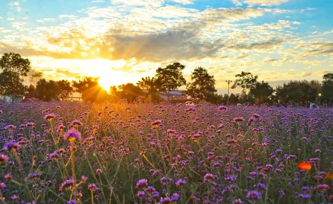 盐城发色,盐城代表颜色