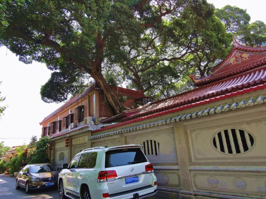 千米老街竟有16处宋元遗迹，上百条古巷飘香，这宝藏小城也太低调了「459集」