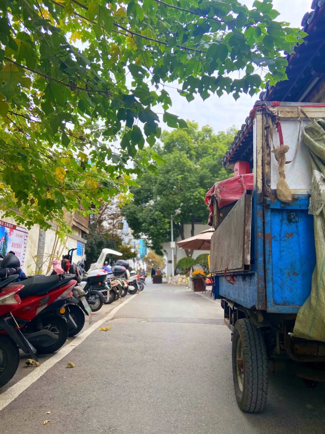 鍗椾含浜虹殑鏃朵唬璁板繂,鍗椾含浜哄涔呬笉鍑洪棬