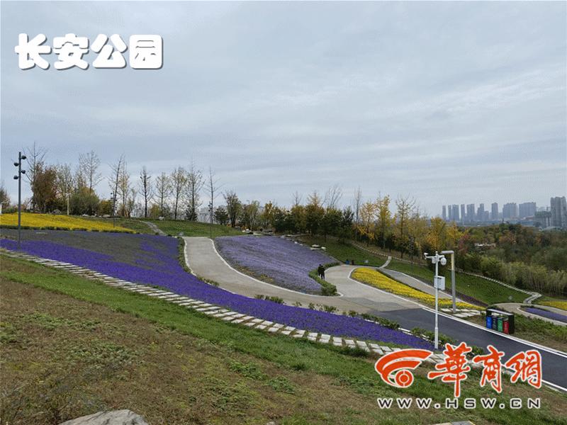 西安最新免费公园遛娃好去处东郊,西安遛娃的公园