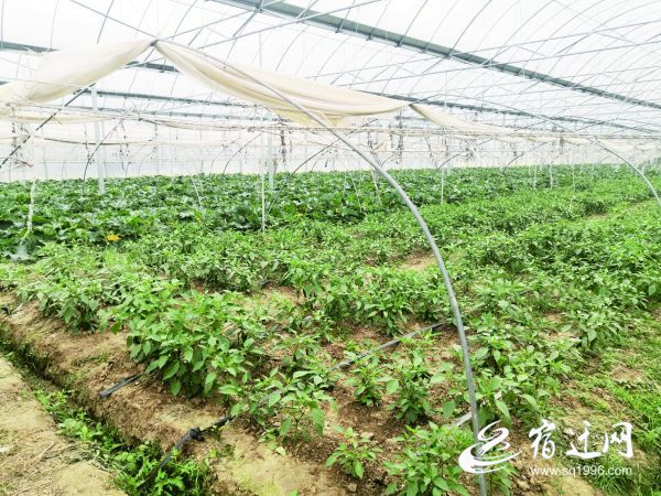 小康公寓酒店,小康旅社