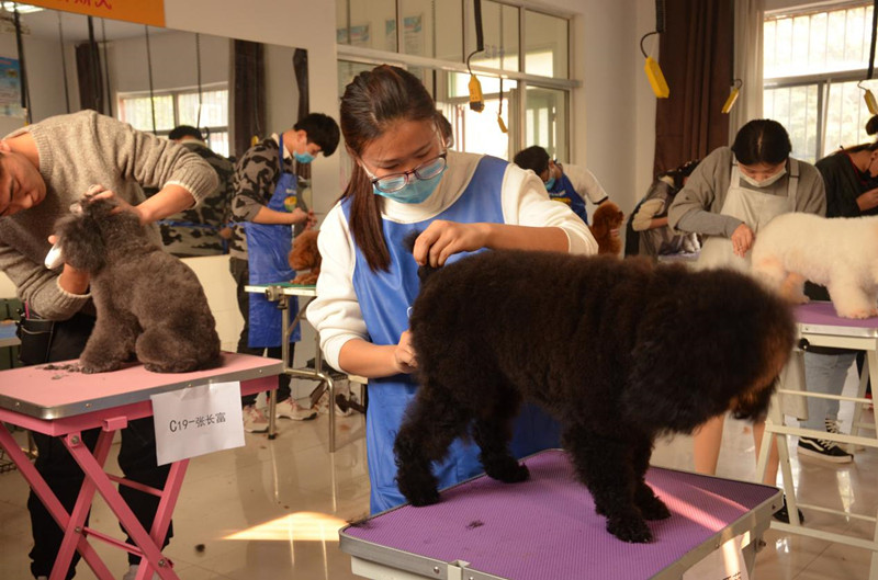 山东畜牧兽医职业学院对接本科,山东畜牧兽医职业学院五年制