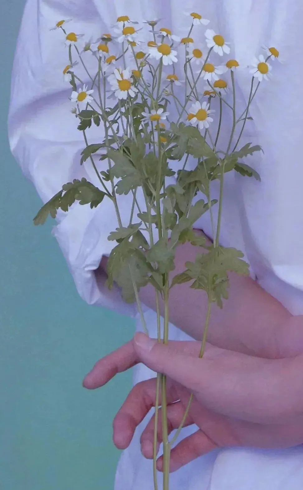 换季肌肤问题干货合集戳我,分享换季小妙招