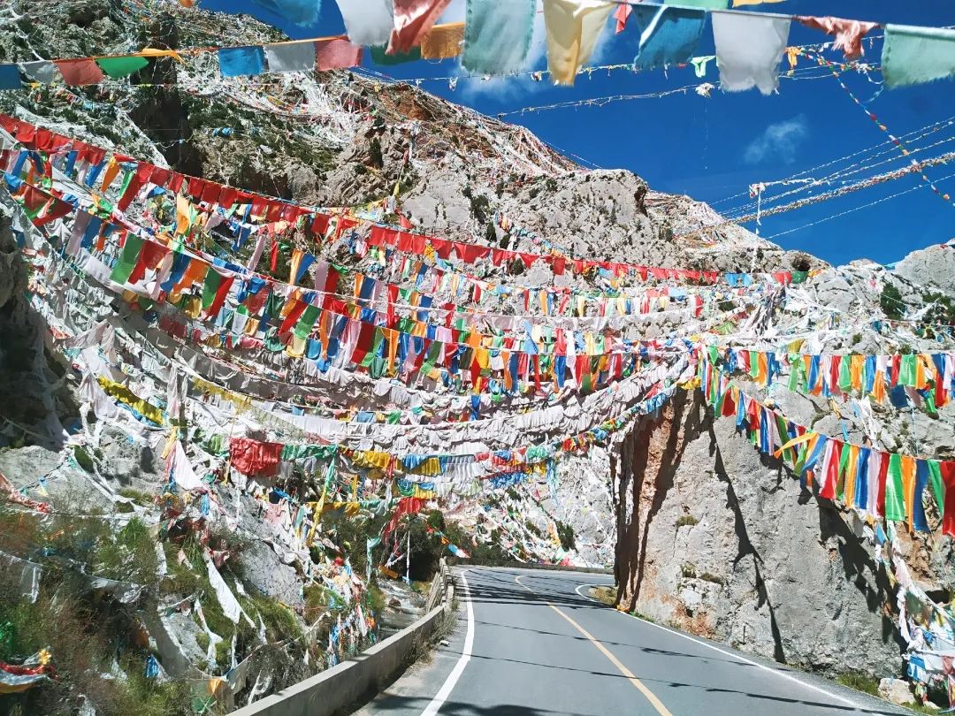 玉树十周年纪念,玉树十年