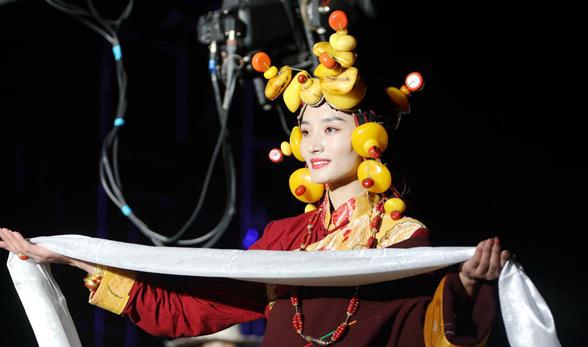 玉树十周年纪念,玉树十年