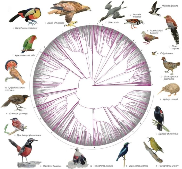 登上nature封面什么水平,登上nature封面