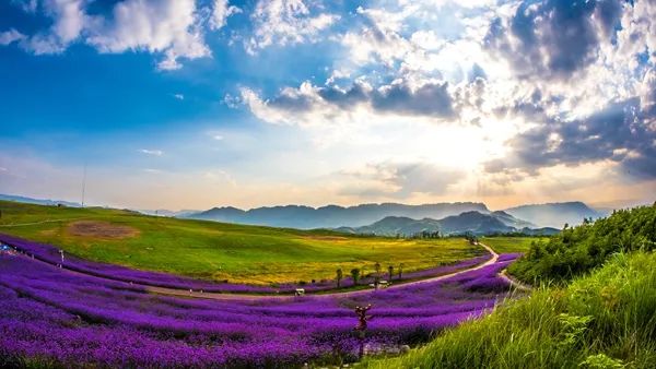 黔西南有哪些名胜古迹,黔西南因为什么而出名