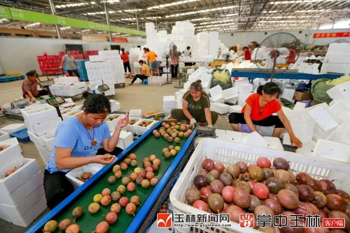 双11电商营收,双11三大电商销售额排名