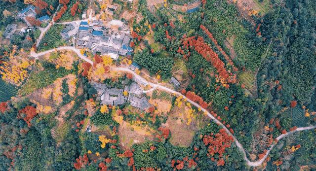 初秋彩林成都周边秘境,成都附近彩林秘境