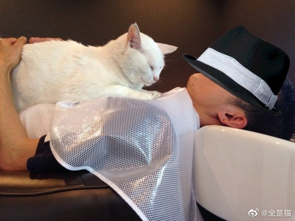 刘昊然在保温杯上班,刘昊然带保温杯上班