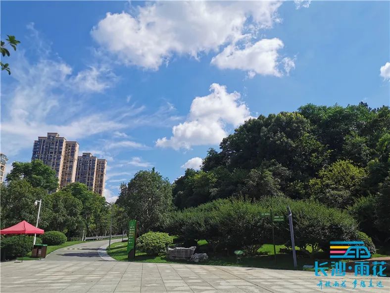 一起感受公园带来的惬意时光吧,漫步湿地公园享受周末好时光