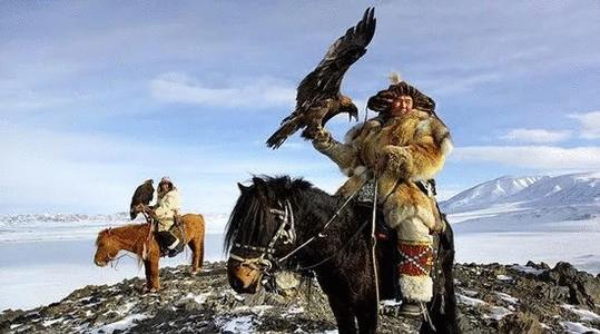 牛肉干科尔沁的草原风味,科尔沁大草原手撕牛肉干