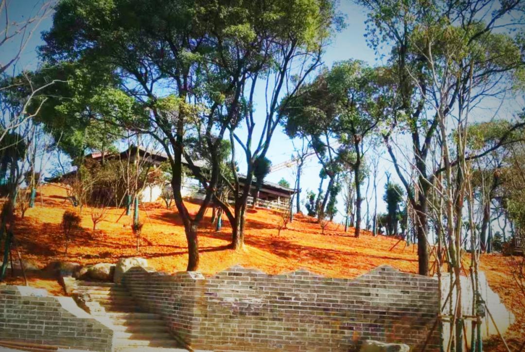 闀挎矙鐗圭,闀挎矙鐗圭閫夐