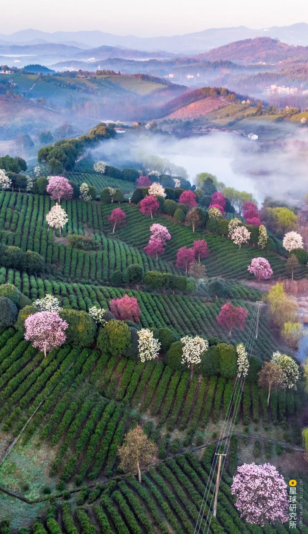 江苏溧阳旅游胜地在哪里,江苏溧阳哪里好玩