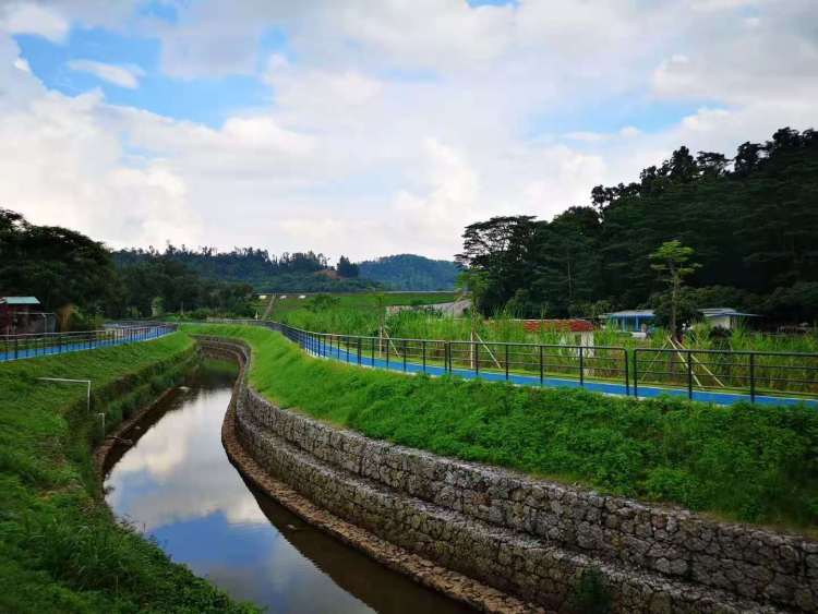 深圳光明新区坚持绿色发展,深圳市光明绿色新城建设