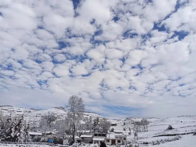 云巅金马池,诗意的远方