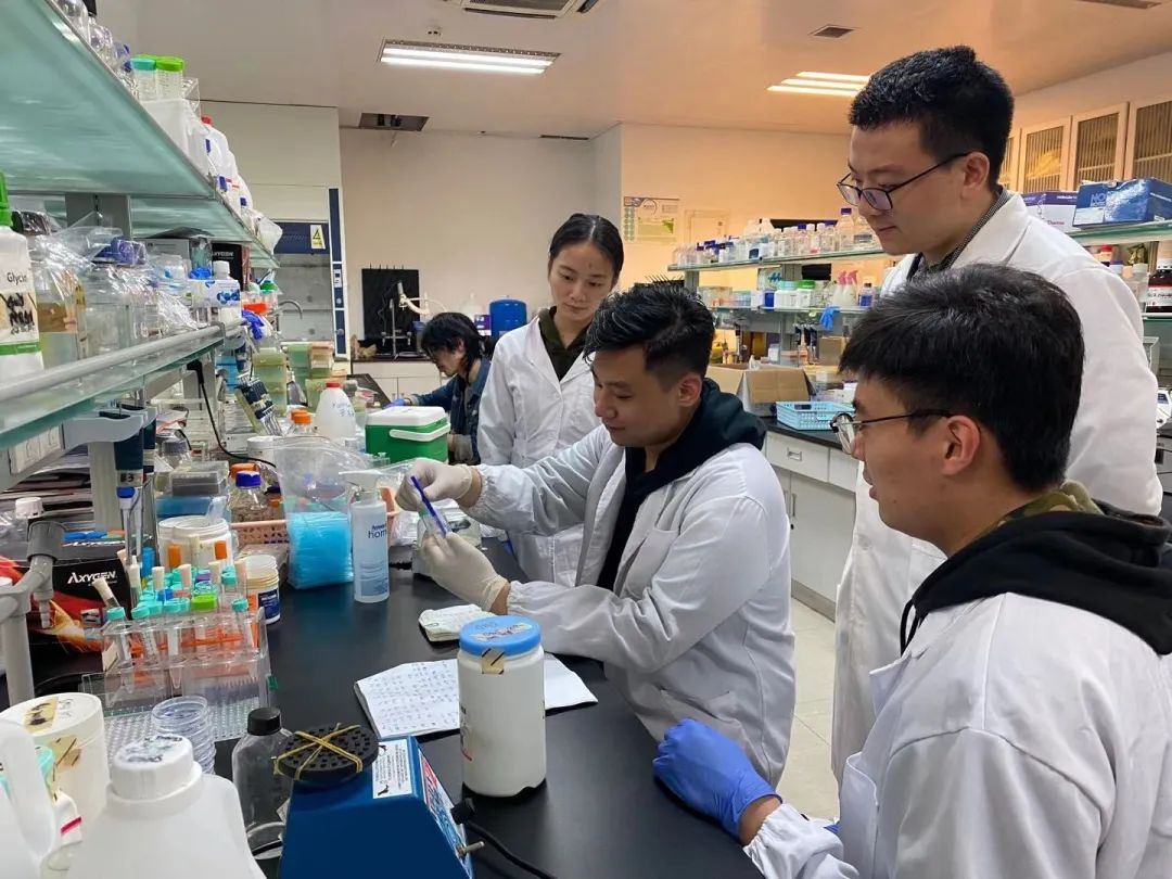 *京大南**学获中国大学生创业计划竞赛全国决赛三金一铜