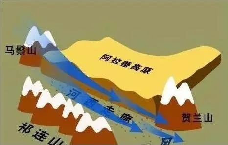 林子大了什么鸟都有下一句,林子大了啥鸟都有歌曲