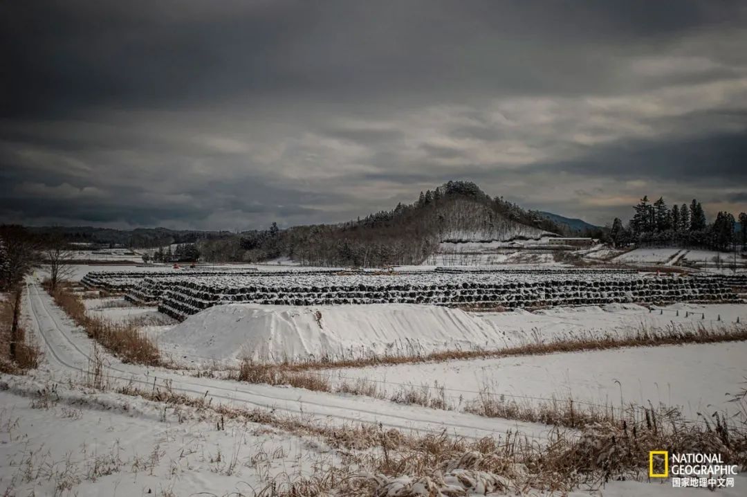 土这种物质，可太冤了