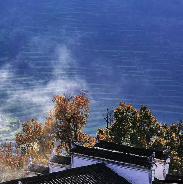 冬天的婺源你见过吗,婺源的秋天到底有多美