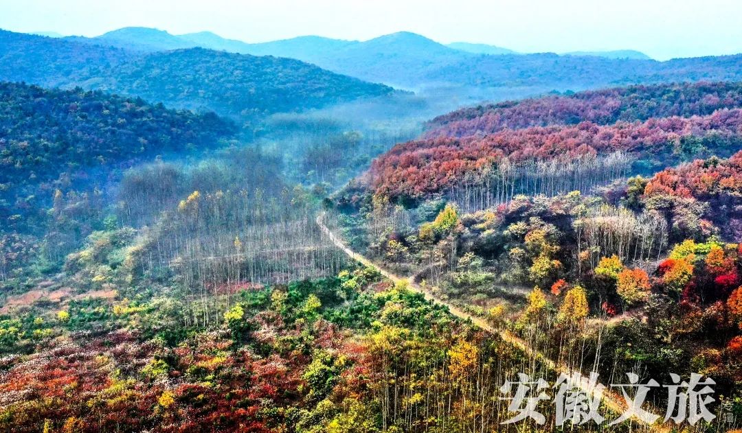 寻古问今,寻古问今的释义