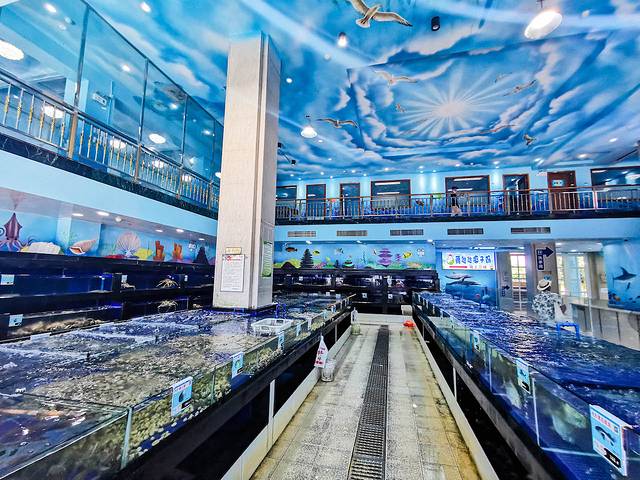 三亚海棠湾希尔顿攻略,三亚湾亚龙湾旅游攻略