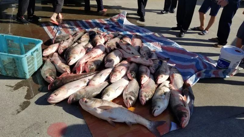 最高检长江经济带典型案例第三批,湖北长江经济带